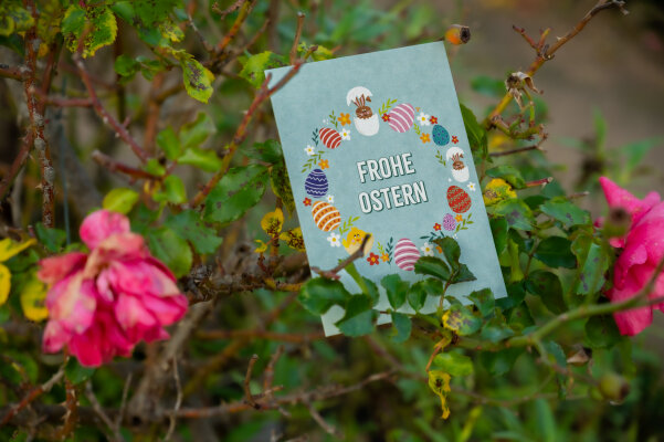 Osterkarten - Osterkarten Großhandel | Handgezeichnet| Keitcards für den Einzelhandel