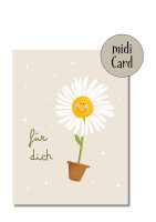Midi Blümchen im Topf ohne Schutzfolie ohne...