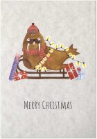 Weihnachtswalross unfoliert ohne Umschlag