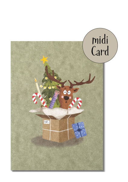 Weihnachtspaket