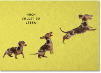 Hoch sollst du leben