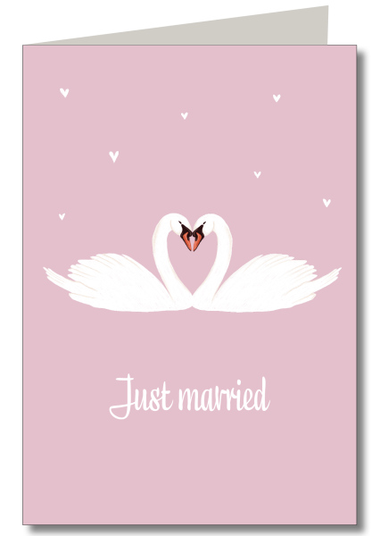 Just married Schwäne