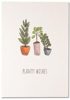 Planty Wishes unfoliert ohne Umschlag