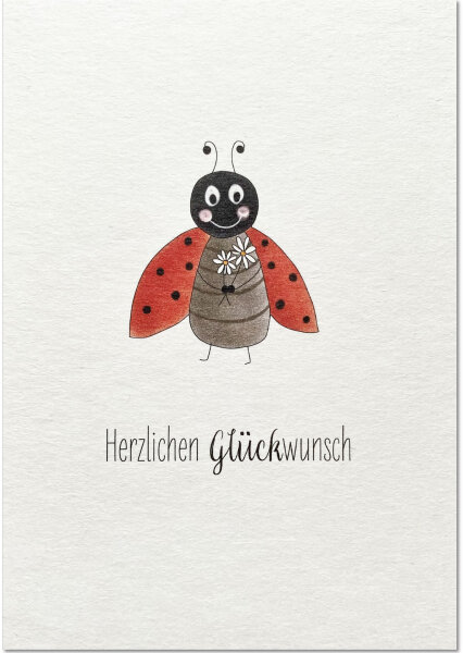 Marienkäfer mit Gänseblümchen foliert inkl. Umschlag